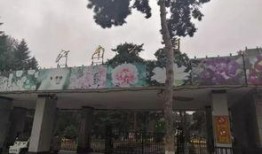 吉林市公园最新爆料,绿意盎然，休闲新地标！