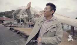 神秘人爆料素材视频,视频素材背后的惊人真相