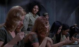 美国三级电影在线观看,在线观看的隐秘世界