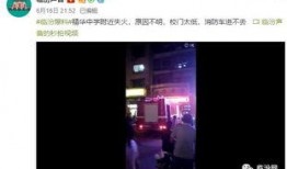 最新高校爆料视频大全播放,揭秘校园生活幕后真相