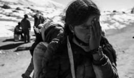 冈波仁齐电影在线观看,穿越时空的奇幻之旅