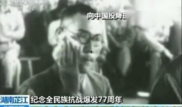 最近湖南爆料事件视频,视频揭露惊人真相，引发社会关注