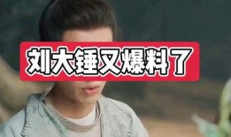 刘大锤明日爆料最新