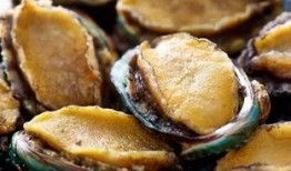 鲍鱼最新爆料,揭秘娱乐圈不为人知的秘密