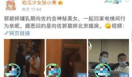 张小寒爆料名单最新视频,娱乐圈风云再起