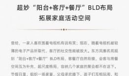 深圳爆料大揭秘最新消息,最新热点事件深度解析