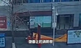 陇南都市爆料事件真相视频