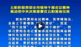 云阳新闻爆料电话号码,揭秘市民爆料背后的故事