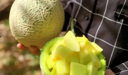 娱乐吃瓜料,明星们的幕后故事与八卦风云