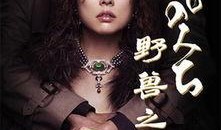 野兽之道在线观看,探寻自然与人性交织的生存法则