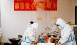 抗癌厨房爆料视频下载安装,下载安装背后的感人故事