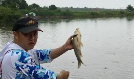 钓鱼频道在线观看,跟随钓鱼频道在线体验渔乐无穷