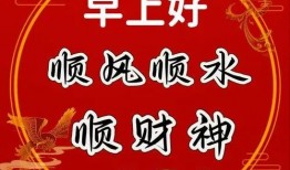 早安头条爆料视频,视频爆料背后的惊人真相