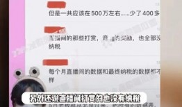 明星偷税爆料事件视频播放,明星偷税事件视频播放引发热议