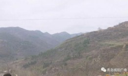 陇南成县网红吃瓜事件,一场网络狂欢背后的真相与反思