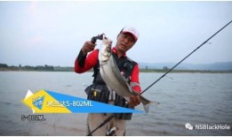 钓鱼频道在线观看,跟随钓鱼频道在线体验渔乐无穷