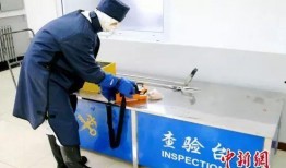 大连海关爆料事件最新情况,最新进展与调查动态全解析