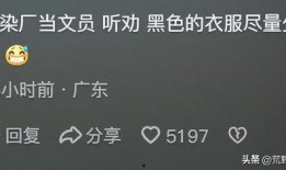 神秘工作爆料视频大全,揭秘神秘工作爆料视频大全背后的秘密