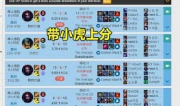 小龙人爆料猫腻视频,揭秘视频背后的惊人真相