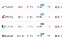 民航大学免费吃瓜,免费瓜果盛宴，学子共享甜蜜时光