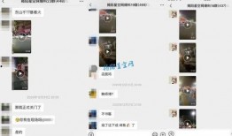 八村最新爆料视频,揭秘幕后故事与精彩瞬间