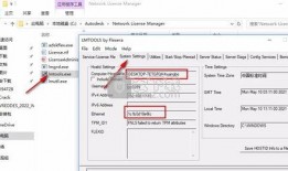 阳台街拍爆料视频下载软件,揭秘热门下载软件，轻松捕捉街头风采