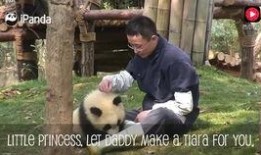 加菲最新爆料视频大全,揭秘娱乐圈幕后真相