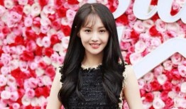 娱乐圈真实爆料郑爽,娱乐圈真相与争议的交织