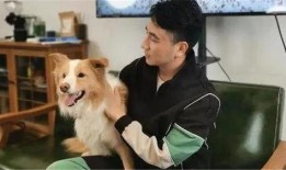 二狗爆料生活视频下载,下载背后的故事