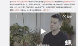 刘伟爆料家暴视频大全下载,揭秘娱乐圈黑暗面