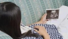 借种2在线观看2,在线观看，激情续集揭秘