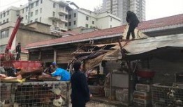 南门菜市场最新爆料,最新爆料揭秘市场新面貌