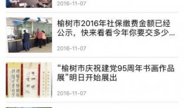 网上新闻爆料找谁,探寻新闻背后的真相与争议