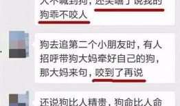 周口市最新爆料消息今天,最新爆料揭示惊人真相，市民热议！”