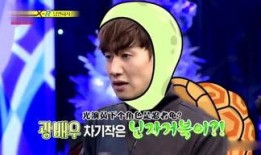 娱乐吃瓜姐音乐,探寻流行乐坛的甜蜜瓜果