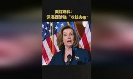 法媒爆料佩洛西视频,揭秘背后真相！”