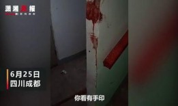 成都爆料家长打人案件视频,校园暴力冲突引发社会关注