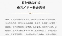 深圳爆料大揭秘最新消息,最新热点事件深度解析