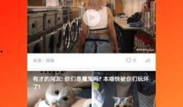 久久视频在线视频观看,久久视频在线视频观看，尽享海量精彩内容