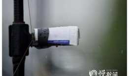 最新鱼竿爆料新闻内容,高性能与环保并存