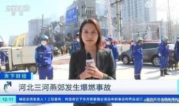 爆料王瑞瑞的记者视频,独家爆料背后的真相与内幕